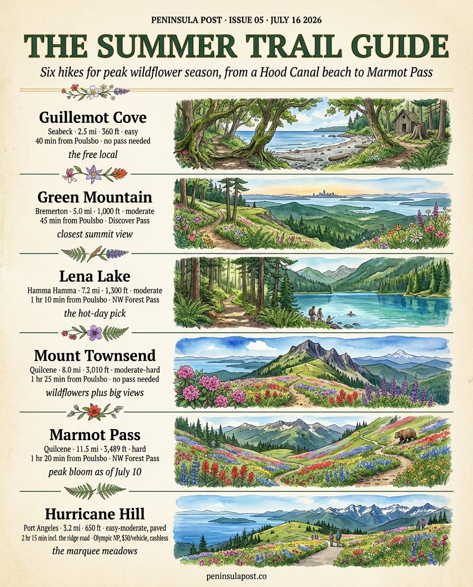 Cover of Peninsula Post issue 05, the Summer Trail Guide, in watercolor.